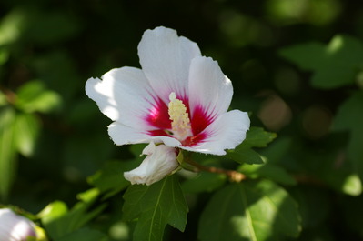 IMGP5760