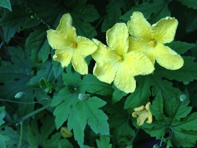 20120806hdufijgihnd