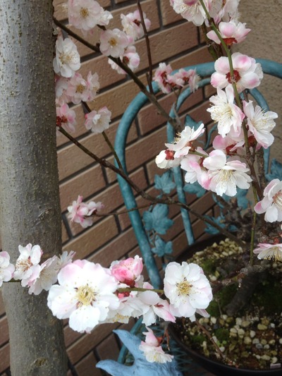 20120325