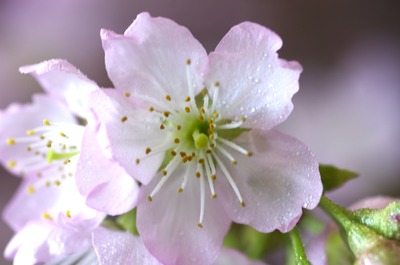 fullsizeoutput_1e73