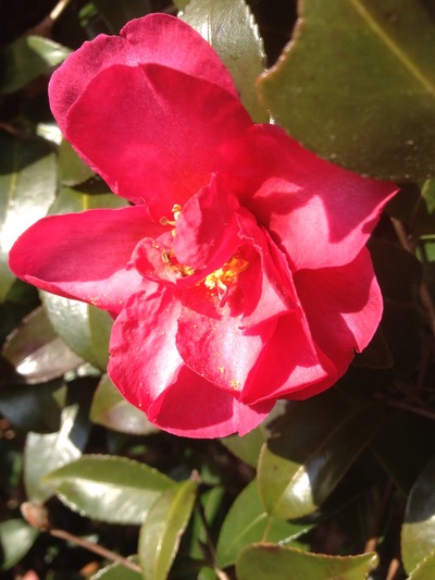 20120304
