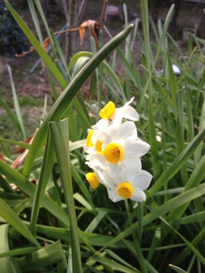 201203092