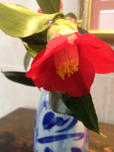 20120311