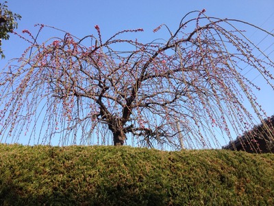 20120314