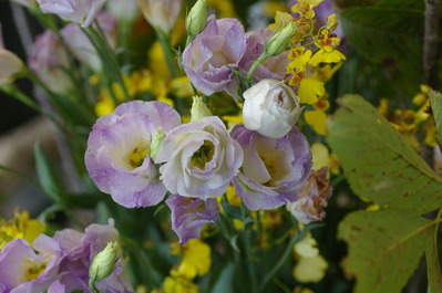 IMGP6190