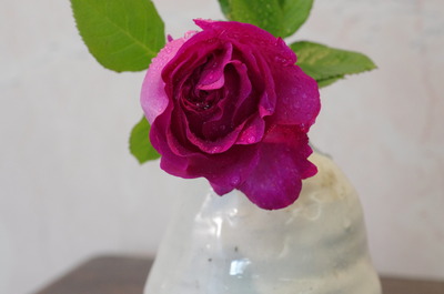IMGP0034