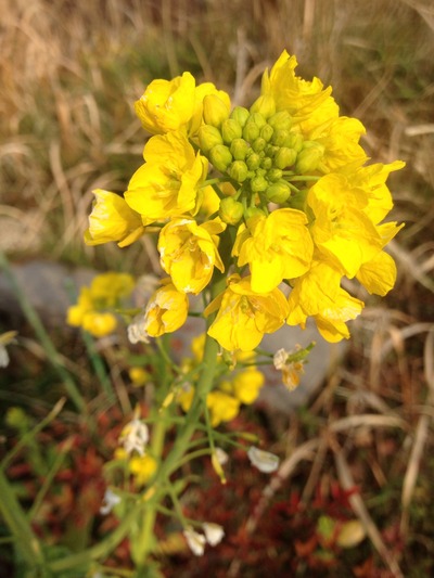 20120307