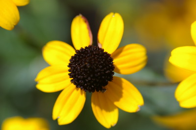 IMGP5957