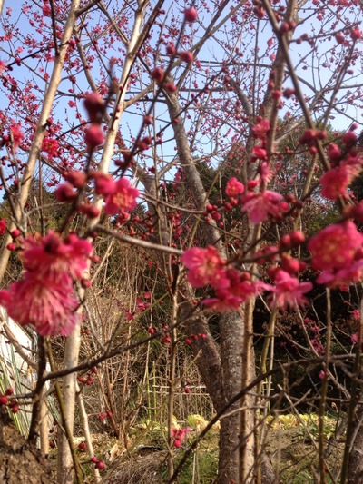 20120310