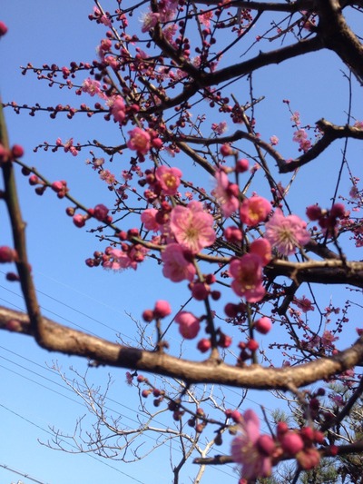 20120319