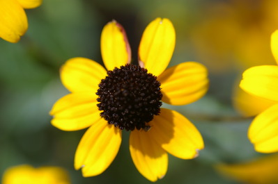 IMGP5957