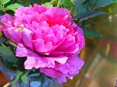 IMG_1070 (2)