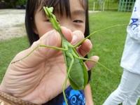 ���ޤ���2