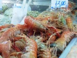 �Ծ쥫�ޥ���