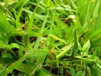 ���ޤ���1