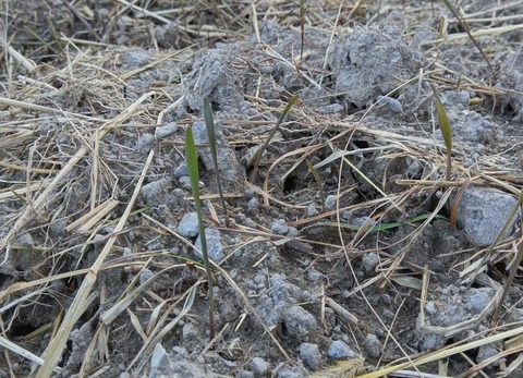 462298100_1604609253799191_1799770310485430397_n