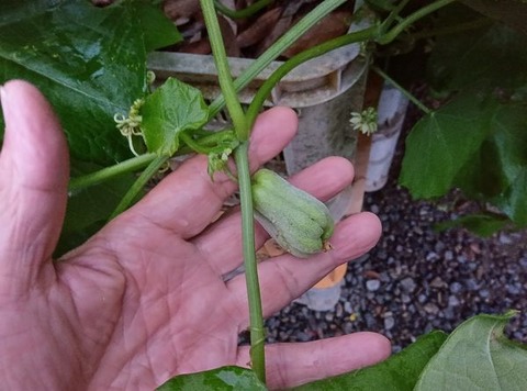 464500678_1615019662758150_2580429969754406558_n