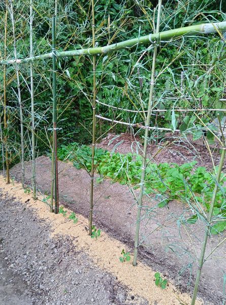 463875368_1611396673120449_7118643972139175748_n