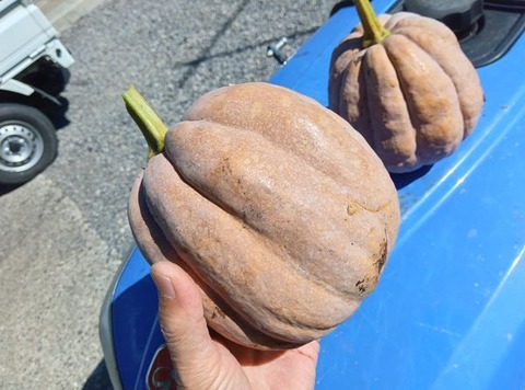 462629890_1603003887293061_128244758609407116_n