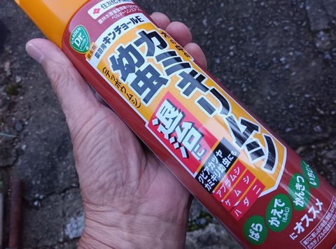 464198650_1613538109572972_5479508512245471901_n