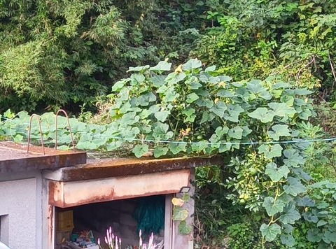 462595196_1603007603959356_6088210537952310238_n