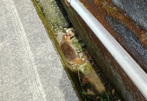 464431658_1614281006165349_4858126165140508885_n