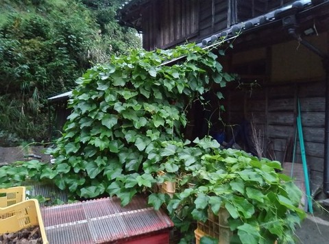 464480052_1615019742758142_5544916458956529535_n