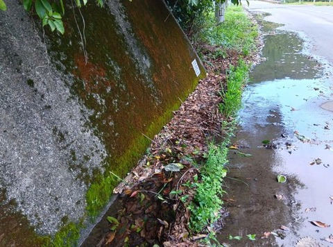 457880129_1573383743588409_7893326578555900934_n