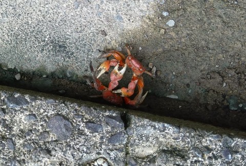 464090124_1615771762682940_5899398853203088107_n