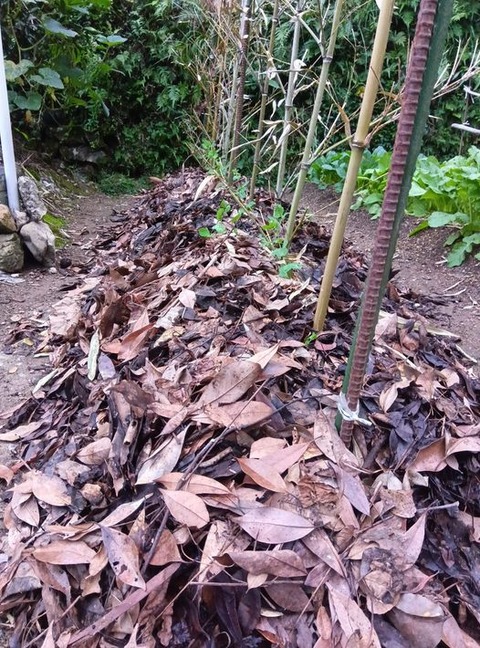 465009908_1616447025948747_4546900145016281599_n