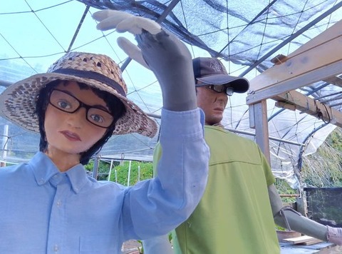 461969978_1602222230704560_7998147605724845635_n