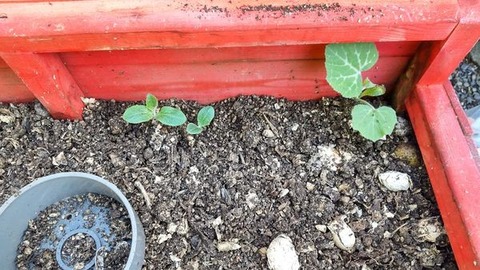 462698813_1603008490625934_7183625434405801852_n