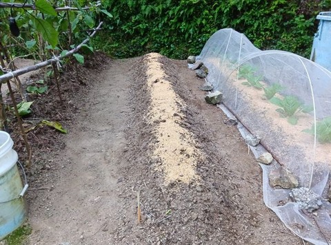 463146800_1606226930304090_406865036912546098_n