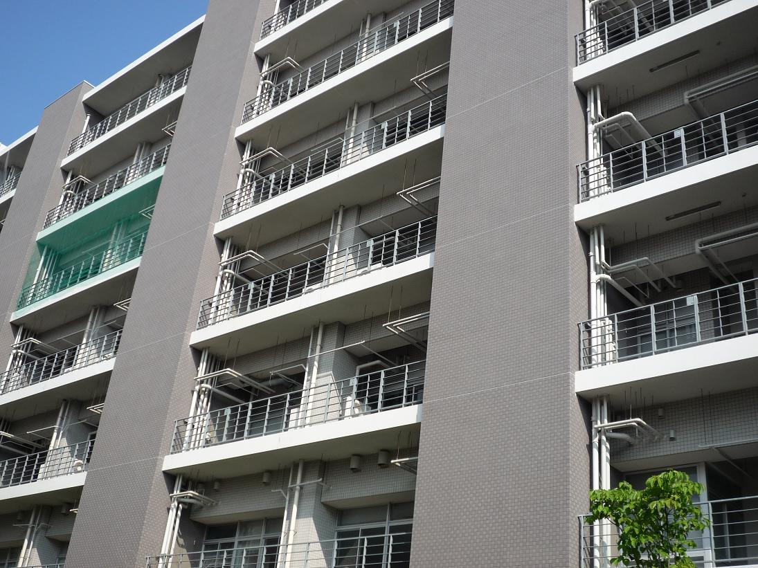 九州大学筑紫キャンパス 鳩対策工事 Fのハト対策ブログ