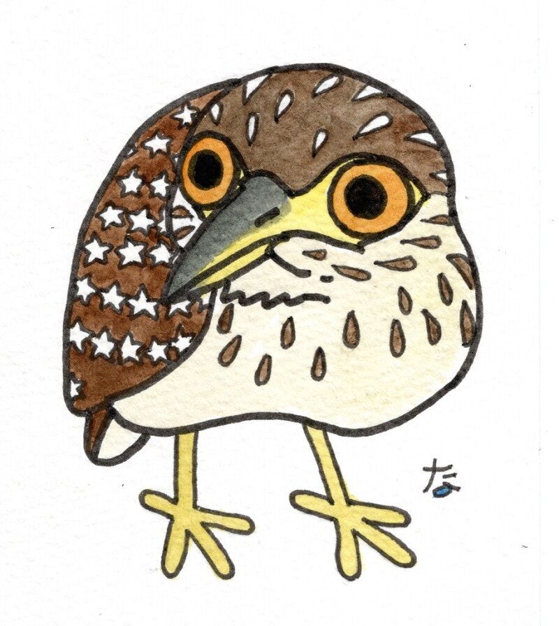 ホシゴイ 富士鷹なすびのブログ