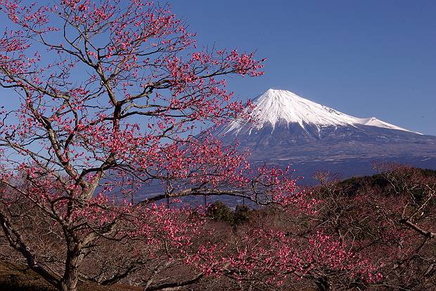イメージ 6