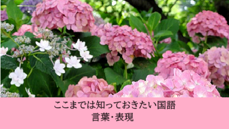 2506言葉と表現夏