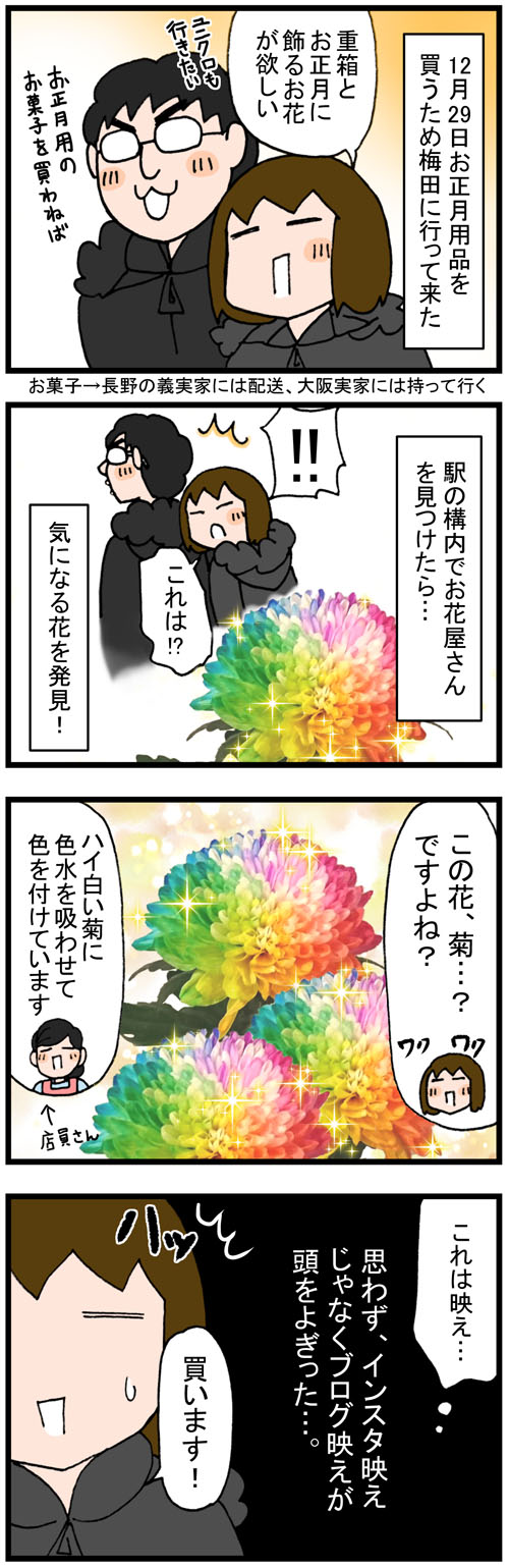 年末に梅田のお花屋さんで購入したレインボーの花 のんびり夫婦の日常 大阪から長野に移住しました 年末に梅田のお花屋さんで購入したレインボーの花 のんびり夫婦の日常 大阪から長野に移住しました