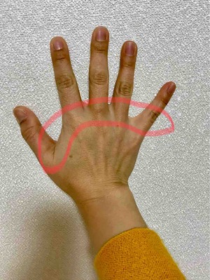 FullSizeRender