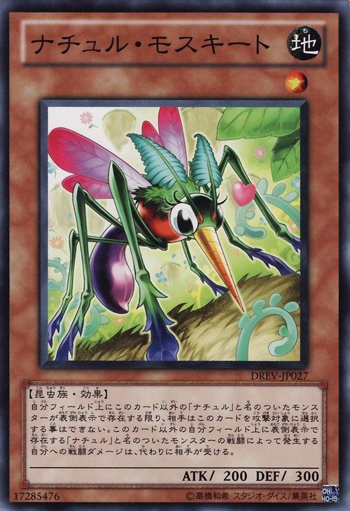 遊戯王 ナチュル使いには嬉しい 新規カード ナチュルの神星樹 復帰勢が遊戯王を楽しむブログ