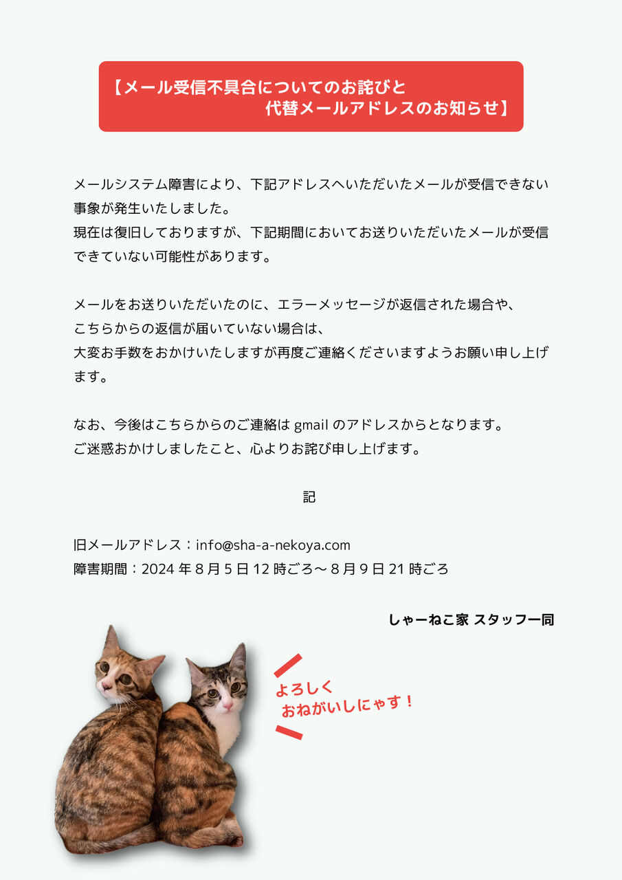 yama@猫飼っています　　修理、連絡ページ メール受信不具合についてのお詫びと代替メールアドレスのお知らせ
