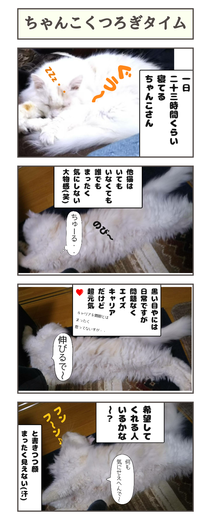 しゃーねこ家のblog