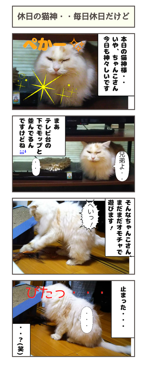 猫神の休日