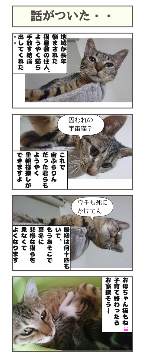 話がついた・・20190922032425