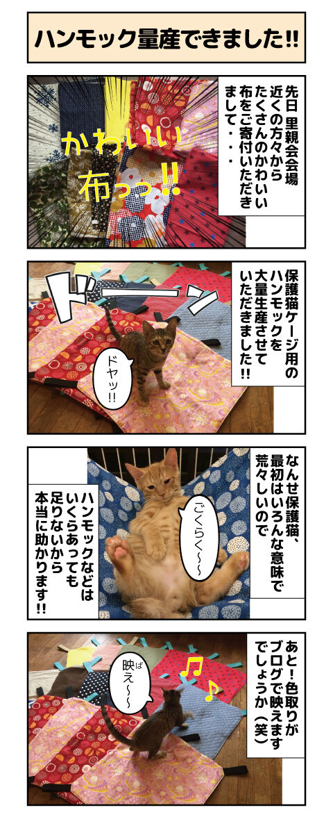 ハンモック量産できました しゃーねこ家のblog
