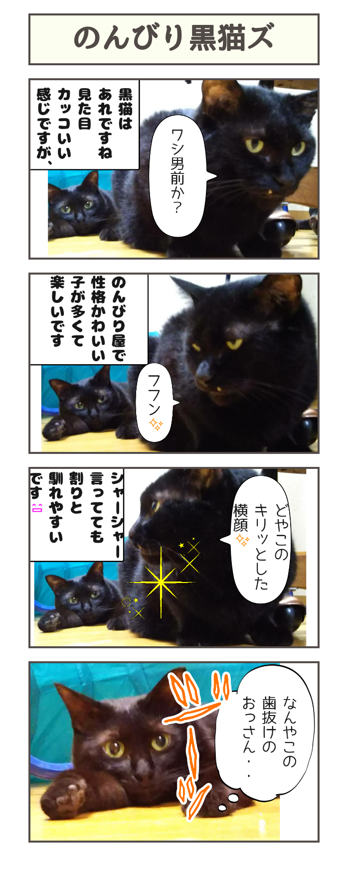 黒猫様専用ページ - ルームウェア/パジャマ