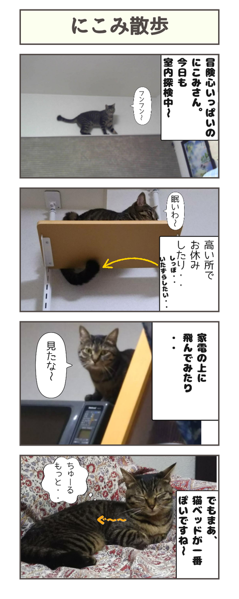 探検家にこみ