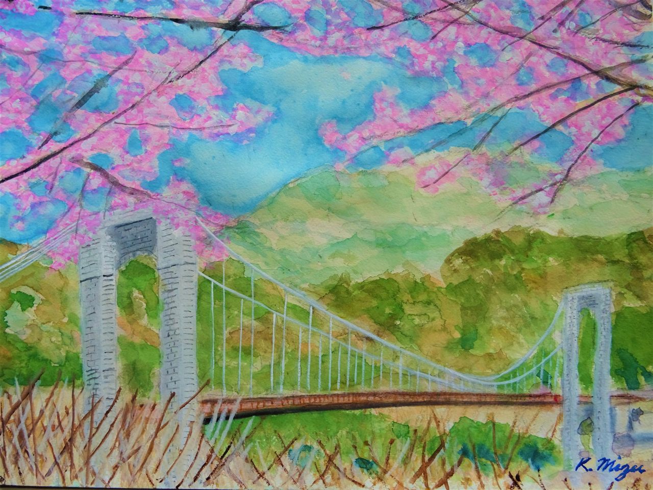 河津桜咲く秦野戸川公園の絵 Shounan Express 河津桜咲く秦野戸川公園の絵 Shounan Express
