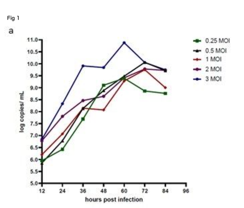 Fig 1A