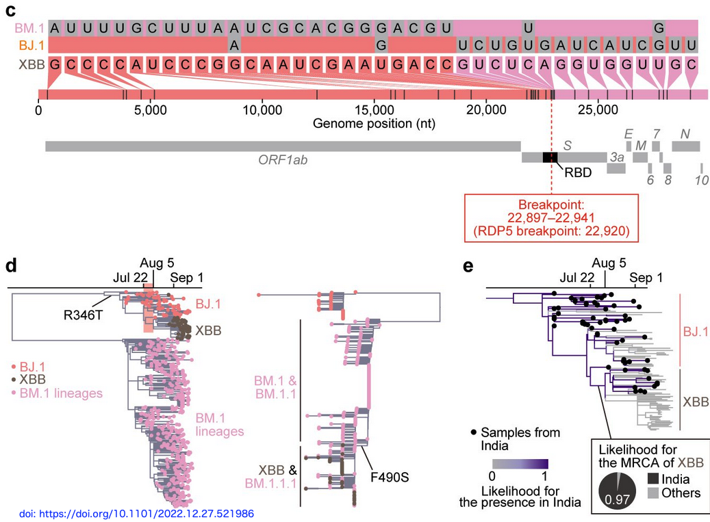 Xbbd 医学部の勉強 分子病理学 : Virological characteristics of the SARS-CoV-2 XBB ...